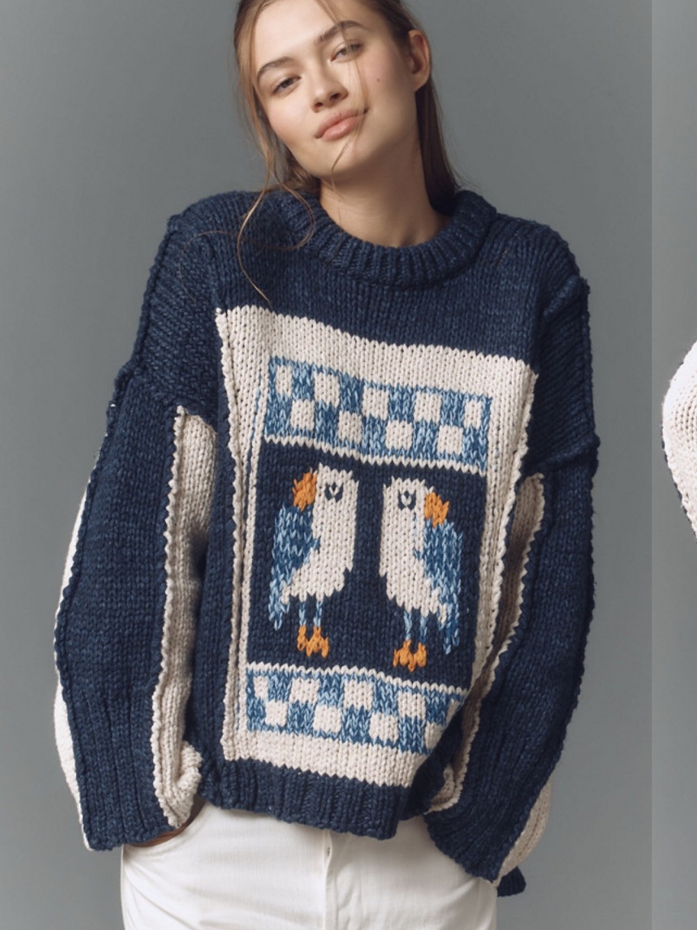 Anthropologie Pilcro Chunky Crew Neck Sweater Bird Seagulls Cozy Medium Women